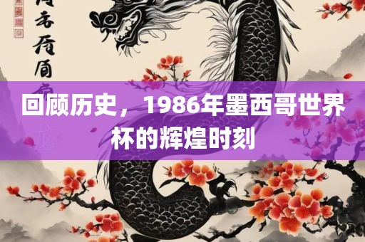 回顾历史，1986年墨西哥世界杯的辉煌时刻洪湖市顺升工程机械租赁有限公司