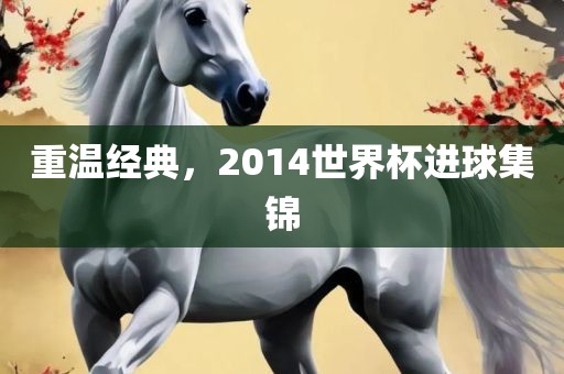 重温经典，2014世界杯进球集锦洪湖市顺升工程机械租赁有限公司