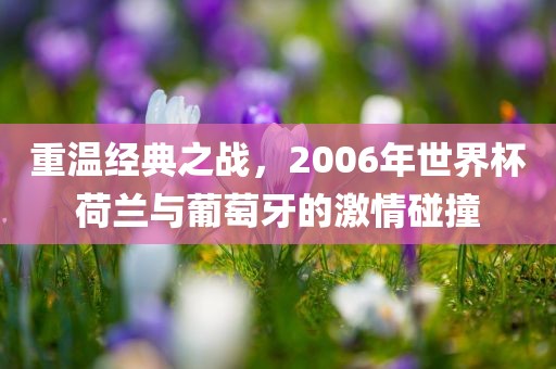 重温经典之战，2006年世界杯荷兰与葡萄牙的激情碰撞