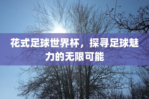 花式足球世界杯，探寻洪湖市顺升工程机械租赁有限公司足球魅力的无限可能