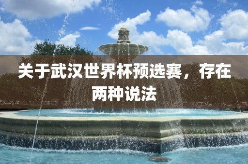 关于武汉世界杯预选赛，存在洪湖市顺升工程机械租赁有限公司两种说法