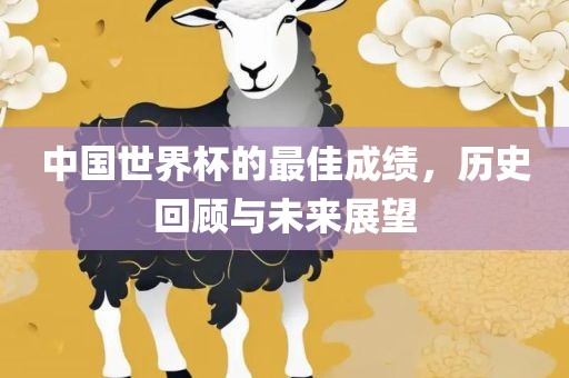 中国世界杯的最佳成绩，历史回顾与未来展望洪湖市顺升工程机械租赁有限公司