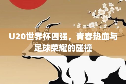 U20世界杯四强，青春热血与足球荣耀的碰撞