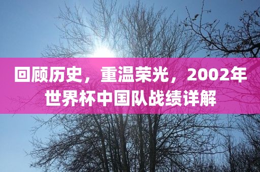 回顾历史，重温荣光，2002年世界杯中国队战绩详解洪湖市顺升工程机械租赁有限公司