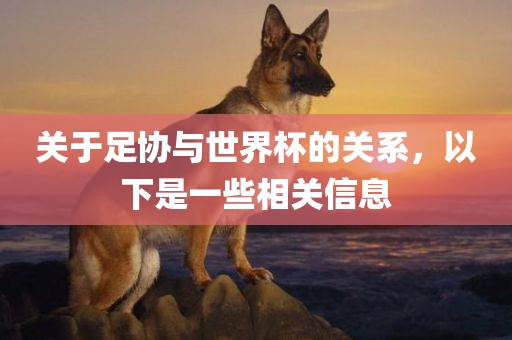 关于足协与世界杯的关系，以下是一些相关信息