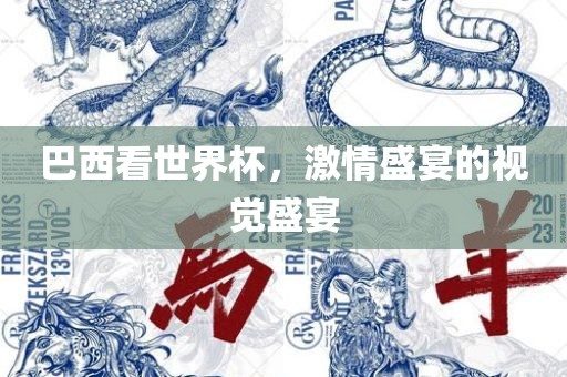 巴西看世界杯，激情盛宴的视觉盛宴