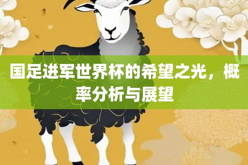 国足进军世界杯的希望之光，概率分析与展望