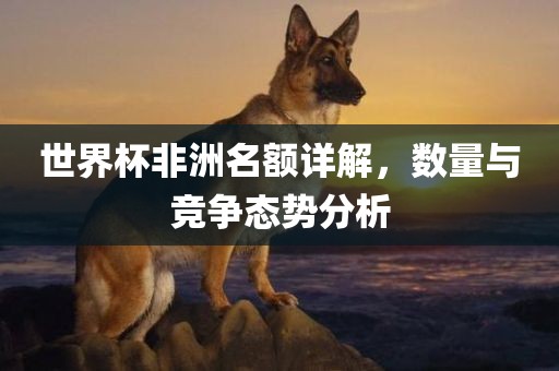 世界杯非洲名额详解，数量与竞争态势分析