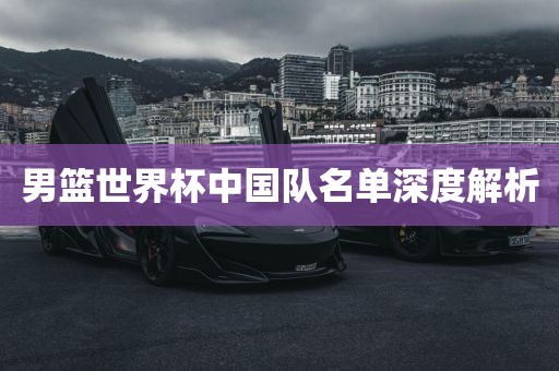 男篮世界杯中国队名单深度解析洪湖市顺升工程机械租赁有限公司