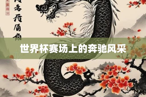 世界杯赛场上的奔驰风采