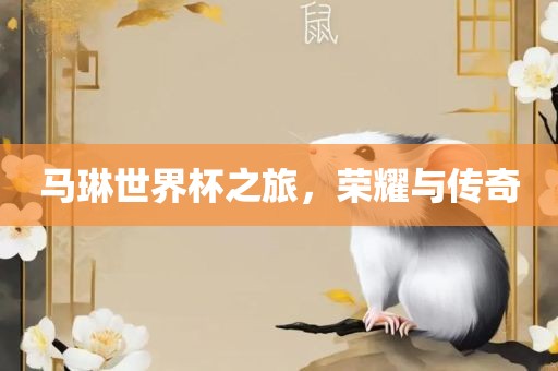 马琳世界杯之洪湖市顺升工程机械租赁有限公司旅，荣耀与传奇