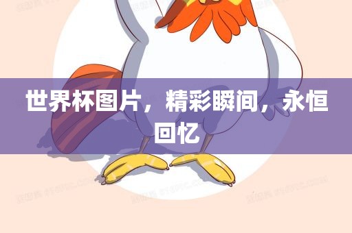 精彩瞬间 第6页