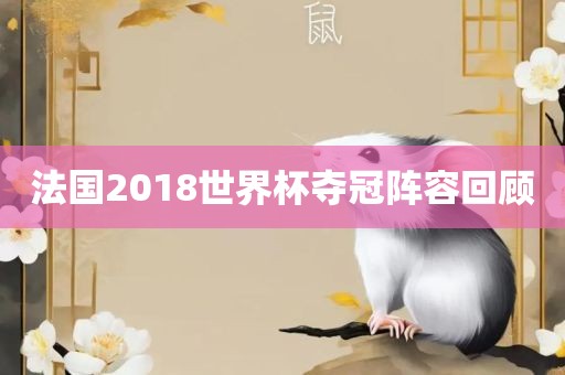 洪湖市顺升工程机械租赁有限公司法国2018世界杯夺冠阵容回顾