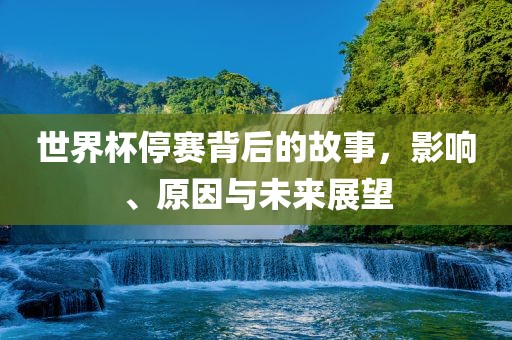 影响与未来展望