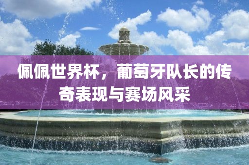 佩佩世界杯，葡萄牙队长的传奇表现与赛场风采