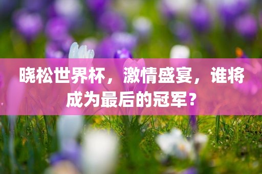 晓松世界杯，激情盛宴，谁将成为最后的冠军？