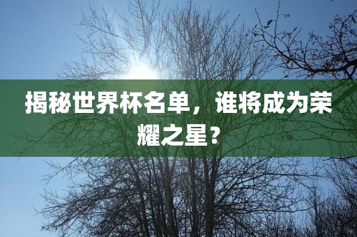 揭秘世界杯名单，谁将成为荣耀之星？