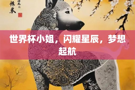 世界杯小姐，闪耀星辰，梦想起航