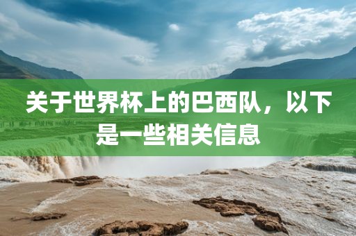 关于世界杯上的巴西队，以下是一些相关信息