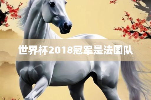 法国队夺冠