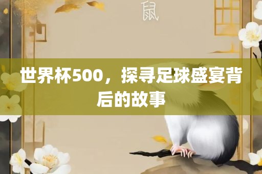 世界杯500，探寻足球盛宴背后的故事