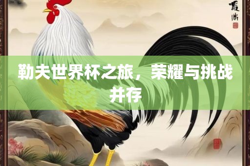 勒夫世界杯之旅，荣耀与挑战并存