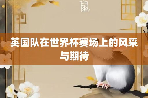 英国队在世界杯赛场上的风采与期待