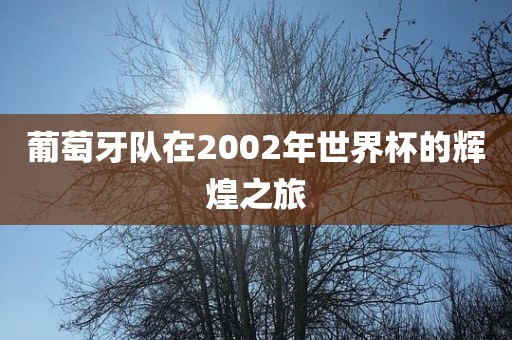 葡萄牙队在2002年世界杯的辉煌之旅