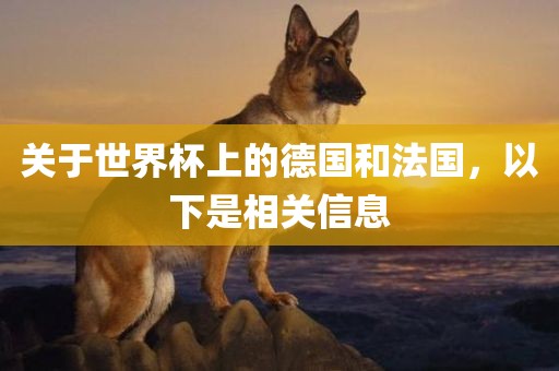 关于世界杯上的德国和法国，以下是相关信息洪湖市顺升工程机械租赁有限公司