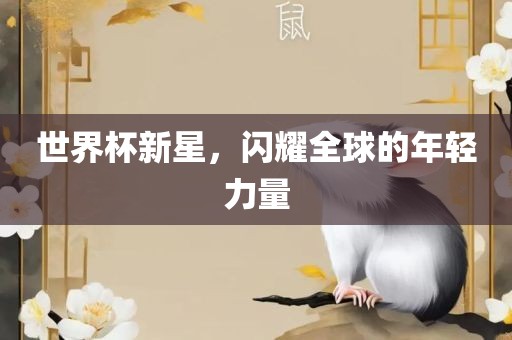 世界杯新星，闪耀全球的年轻力量洪湖市顺升工程机械租赁有限公司