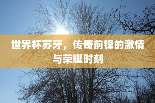 世界杯苏牙，传奇前锋的激情与荣耀时刻