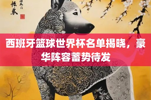 西班牙篮球世界杯名单揭晓，豪华阵容蓄势待发