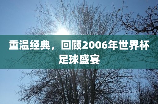 重温经典，回顾2006年世界杯足球盛宴