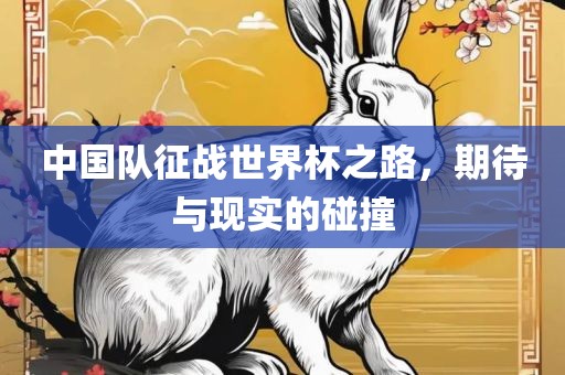 中国队征战世界杯之路，期待与现实的碰撞洪湖市顺升工程机械租赁有限公司