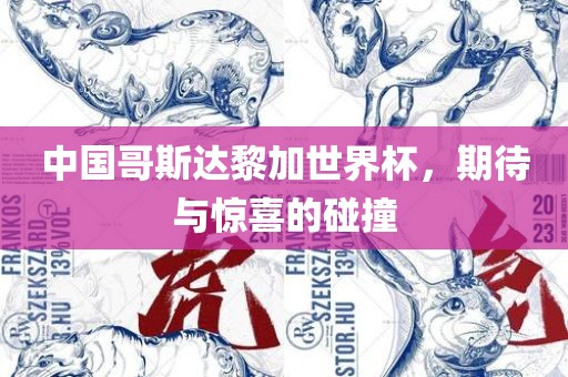 中国哥斯达黎加世界杯，期待与惊喜的碰撞洪湖市顺升工程机械租赁有限公司