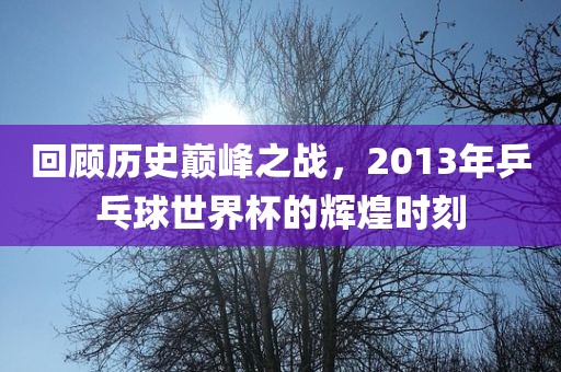 回顾历史巅峰之战，2013年乒乓球世界杯的辉煌时刻