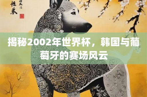 揭秘2002年世界杯，韩国与葡萄牙的赛场风云