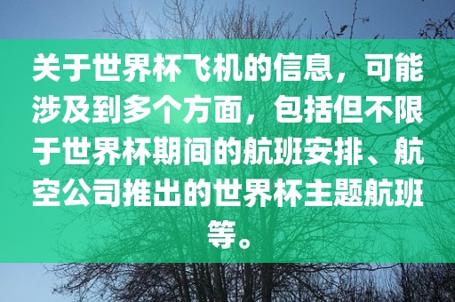 关于世界杯飞机的信息，可能涉及到多个方面，包括但不限于世界杯期间的航班安排、航空公司推出的世界杯主题航班等。