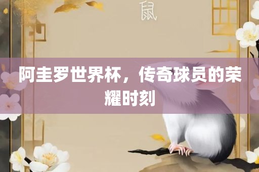 阿圭罗世界杯，传奇球员的荣耀时刻洪湖市顺升工程机械租赁有限公司