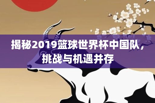 揭秘2019篮球世界杯中国队，挑战与机遇并存