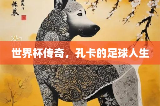 世界杯传奇，孔卡的足球人生洪湖市顺升工程机械租赁有限公司