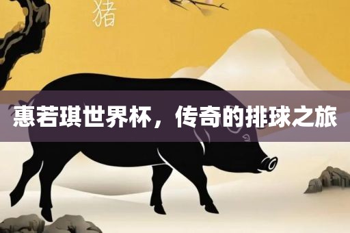 惠若琪世界杯，传奇的排洪湖市顺升工程机械租赁有限公司球之旅