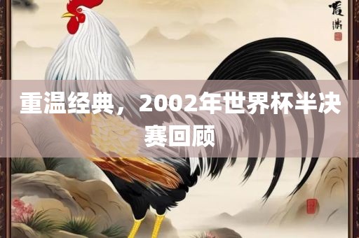 重温经典，2002年世界杯半决赛回顾洪湖市顺升工程机械租赁有限公司