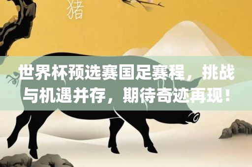 世界杯预选赛国足赛程，挑战与机遇并存，期待奇迹再现！洪湖市顺升工程机械租赁有限公司