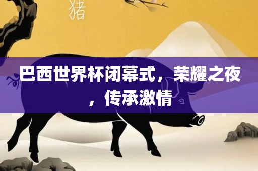 巴西世界杯闭幕式，荣耀之夜，传承激情洪湖市顺升工程机械租赁有限公司