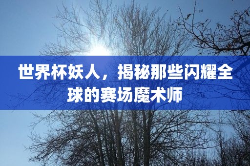世界杯妖人，揭秘那些闪耀全球的赛场魔术师洪湖市顺升工程机械租赁有限公司