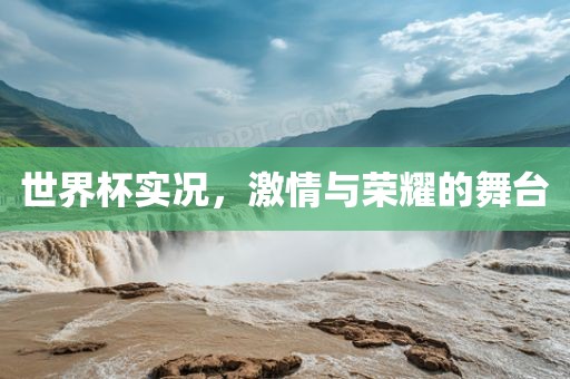 世界杯实况，激情与荣耀的舞台