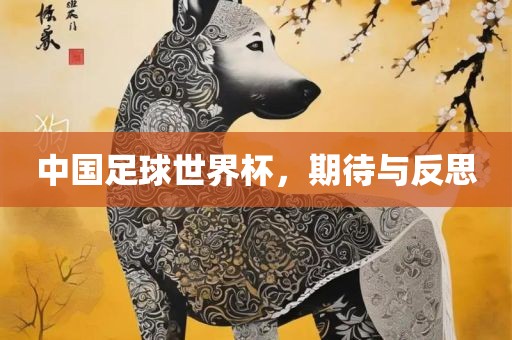 中国足球世界杯，期待与反思
