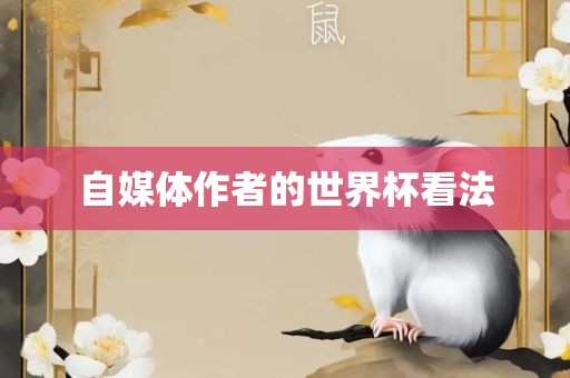 自媒体作者的世界杯看法