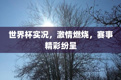 世界杯实况，激情燃烧，赛事精彩纷呈